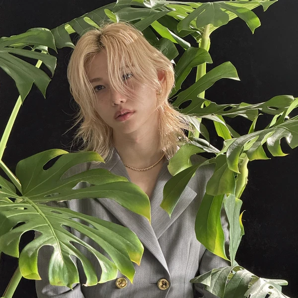 Fans' Pick: Best Moment of Felix (Stray Kids)