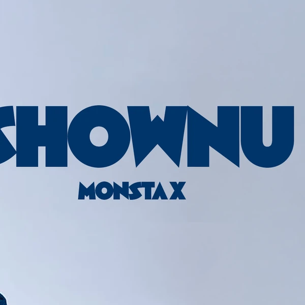 粉絲票選的Shownu (MONSTA X)最佳瞬間