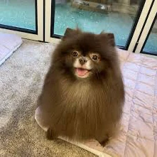 오늘 가장 사랑받은 제니 (BLACKPINK)의 모습