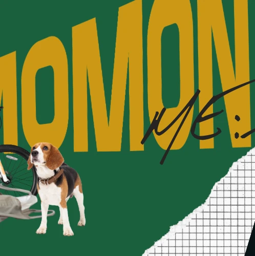 Fans' Pick: Best Moment of Kasahara Momona (ME:I)