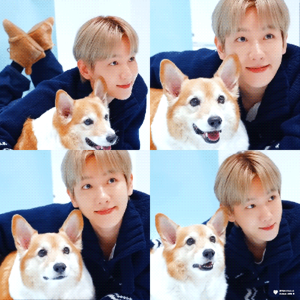 오늘 가장 사랑받은 백현 (EXO)의 모습