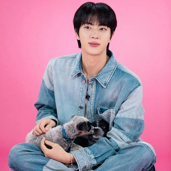 今日最も愛されたジン (BTS)の姿