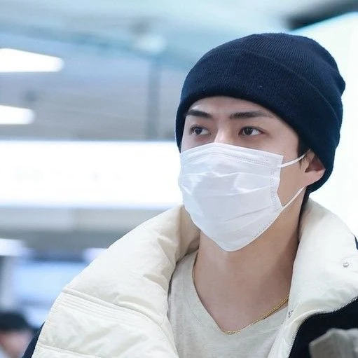 팬들이 뽑은 세훈 (EXO) 최고의 순간