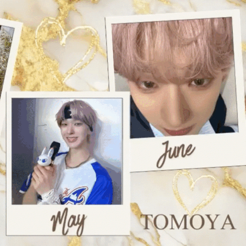 Today's Most Loved Tomoya (NEXZ)