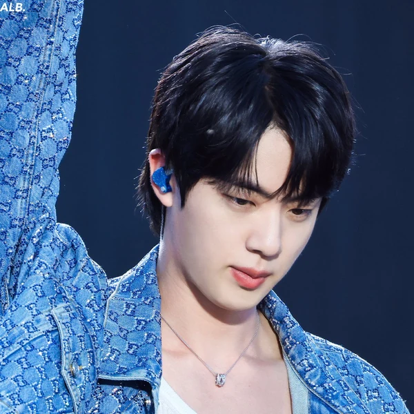 진 (방탄소년단) 팬심 가득한 인기 사진