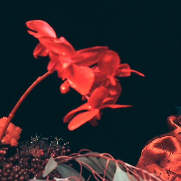 Foto profil Joohoney (MONSTA X) terpopuler hasil voting