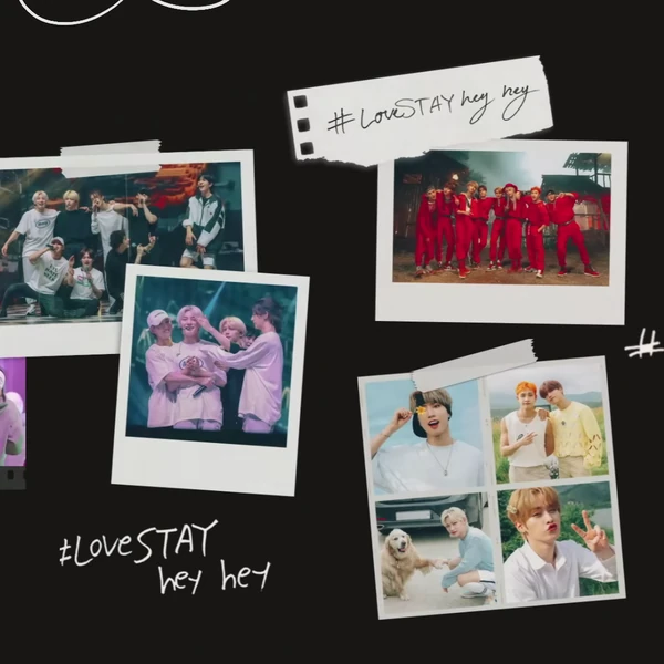 Today's Most Loved Stray Kids
