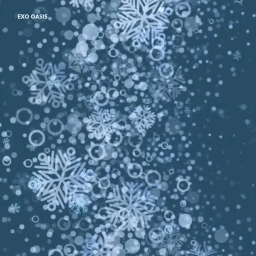 오늘 가장 사랑받은 EXO의 모습