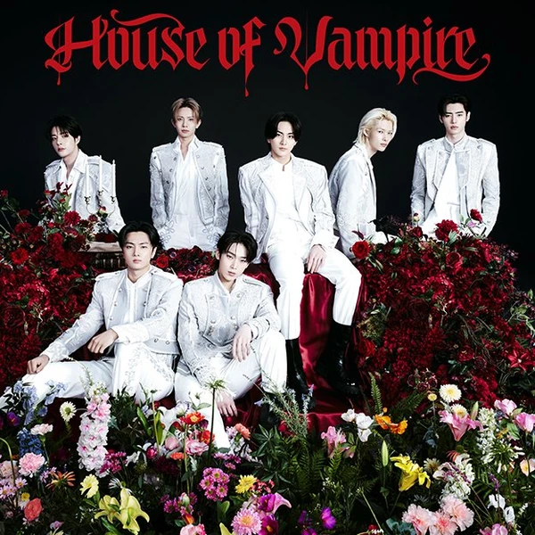 粉絲票選的ENHYPEN最佳瞬間