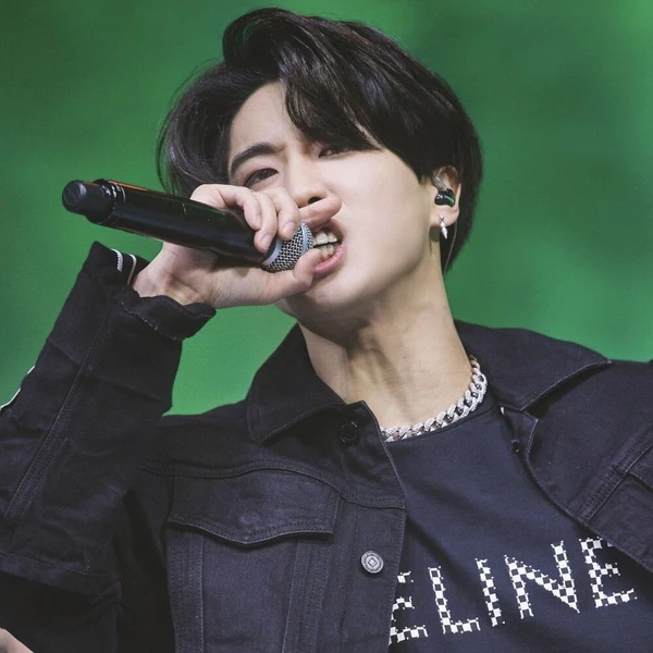 Top Photo Full of HAN (Stray Kids) Love