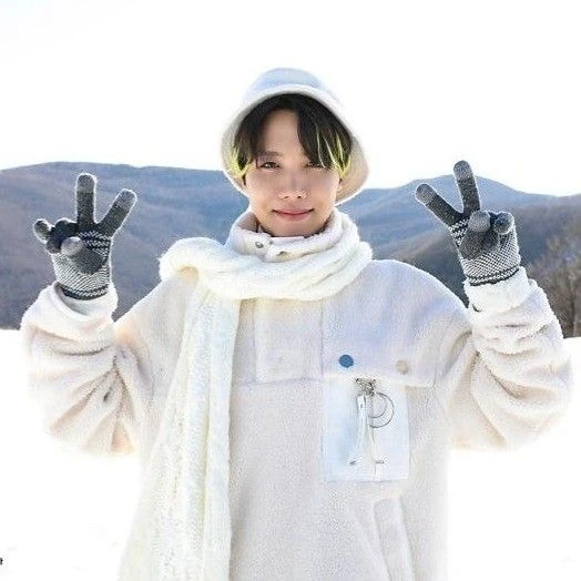 팬들이 뽑은 제이홉 (방탄소년단) 최고의 순간