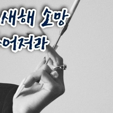 Today's Most Loved Hwasa (MAMAMOO)