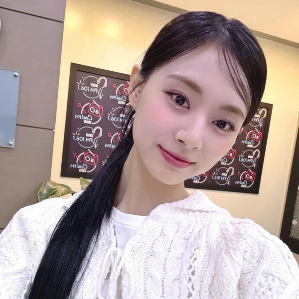 팬들이 뽑은 TWICE 최고의 순간