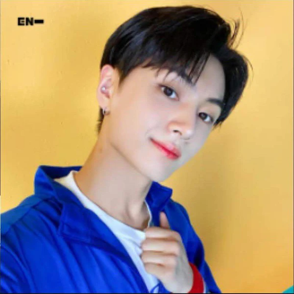 ENHYPEN 팬심 가득한 인기 사진