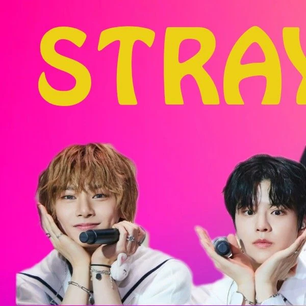 오늘 가장 사랑받은 Stray Kids의 모습