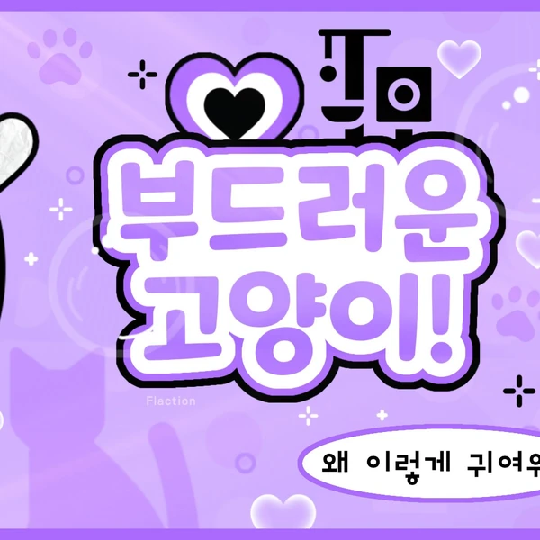 Fans' Pick: Best Moment of Narin (MEOVV)