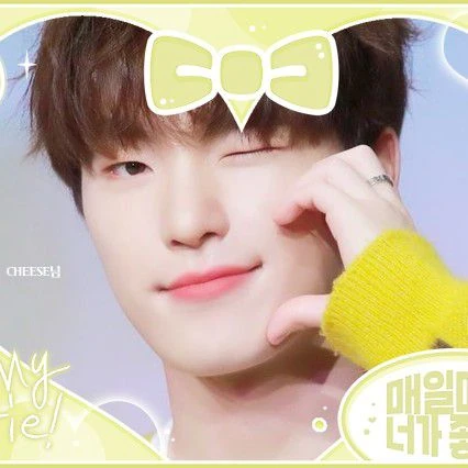 팬들이 뽑은 세븐틴 최고의 순간