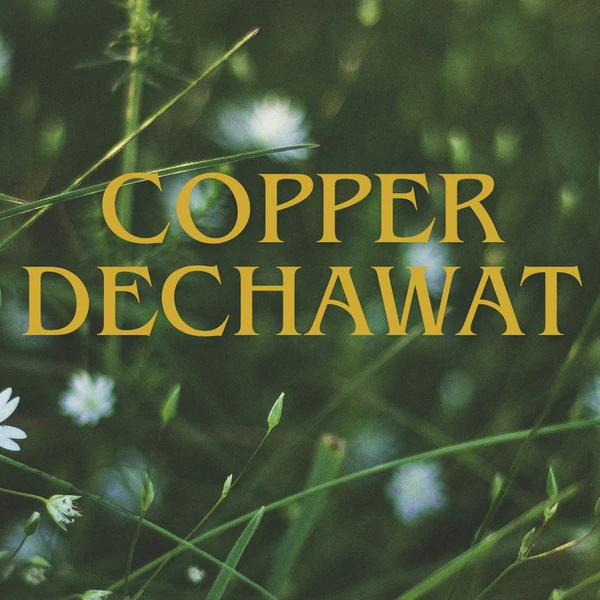 Today's Most Loved Copper (BUS)