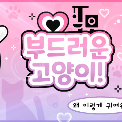 오늘 가장 사랑받은 히카루 (Kep1er)의 모습