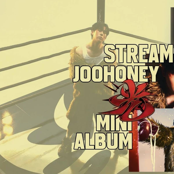 몬스타엑스 팬심 가득한 인기 사진