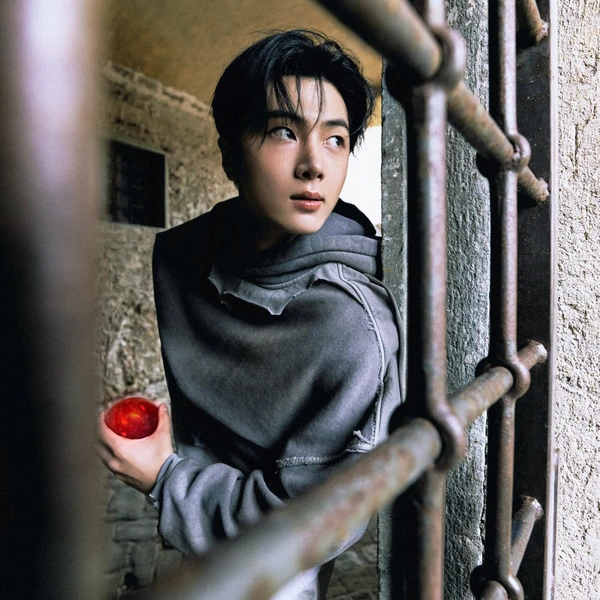 粉絲票選的ENHYPEN最佳瞬間