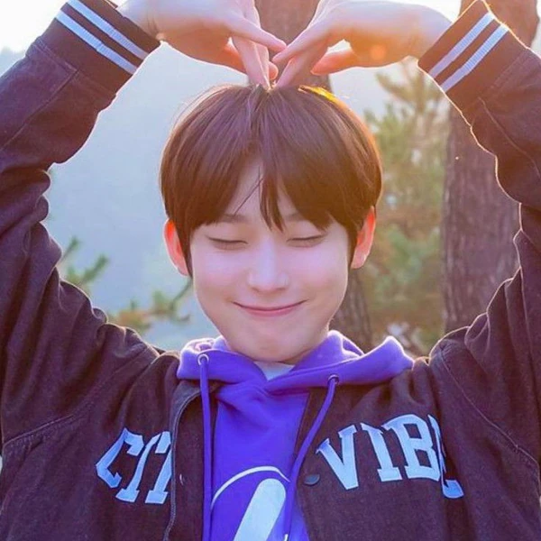 充滿粉絲愛意的ENHYPEN人氣照片