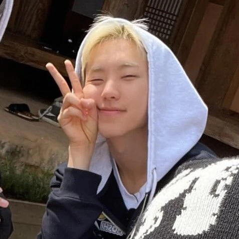 ファンが選んだホシ (SEVENTEEN)最高の瞬間