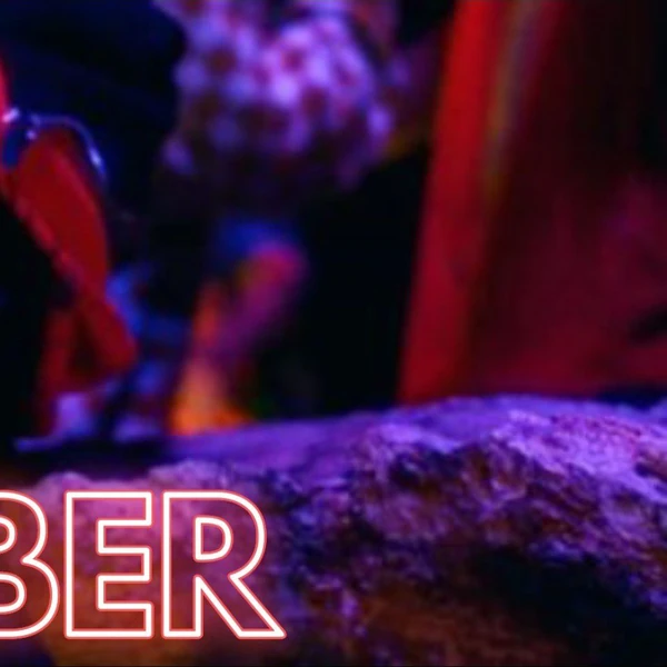 ジャスティン・ビーバーへの愛が詰まった人気写真