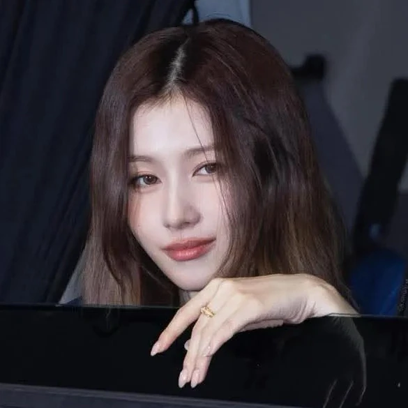 사나 (TWICE) 팬심 가득한 인기 사진