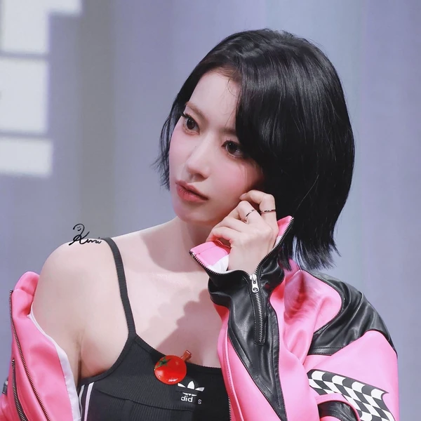 ファンが選んだサクラ (LE SSERAFIM)最高の瞬間