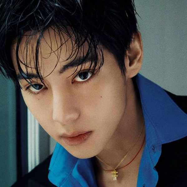 今日最も愛されたV (BTS)の姿