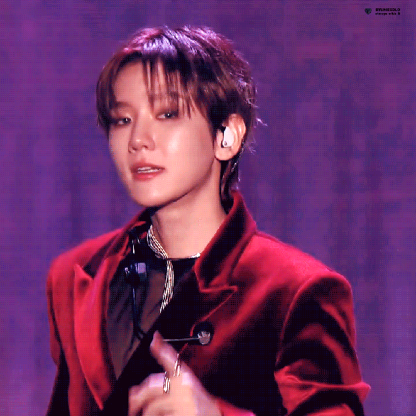 今日最受喜愛的伯賢 (EXO)