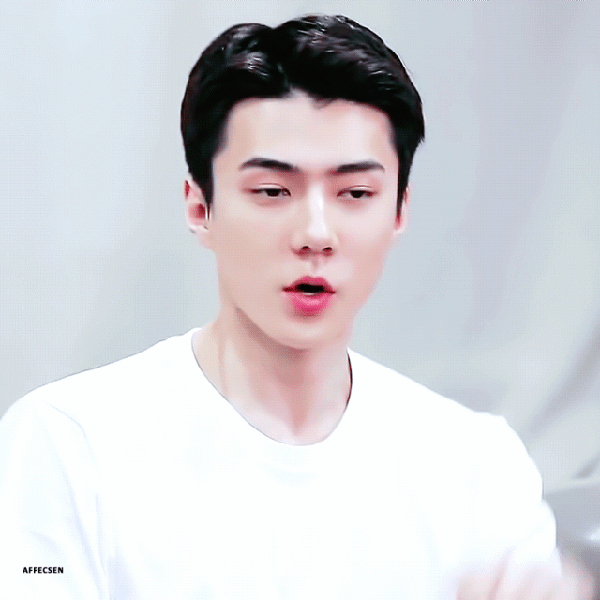 充滿粉絲愛意的世勳 (EXO)人氣照片