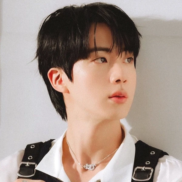 今日最も愛されたジン (BTS)の姿