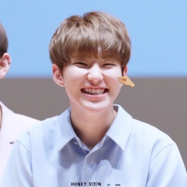 ファンが選んだSEVENTEEN最高の瞬間