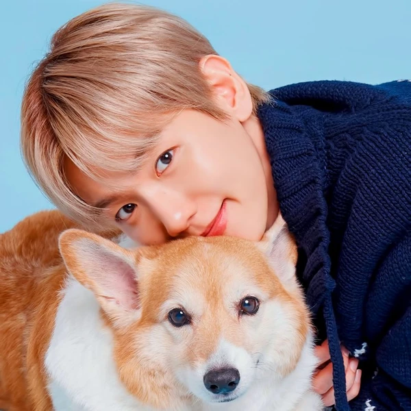 今天在最愛偶像中閃耀的伯賢 (EXO)代表照片