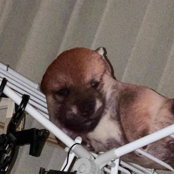 粉絲票選的Winter (aespa)最佳瞬間