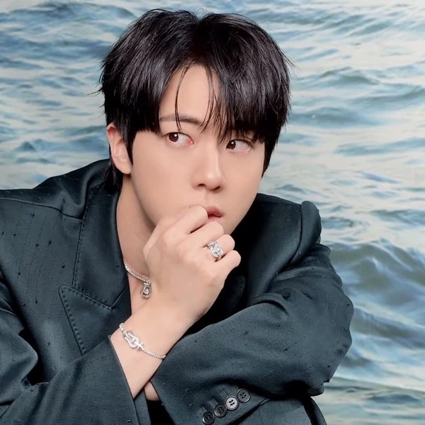 Today's Most Loved Jin (BTS)