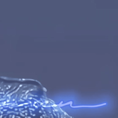 형원 (몬스타엑스) 팬심 가득한 인기 사진