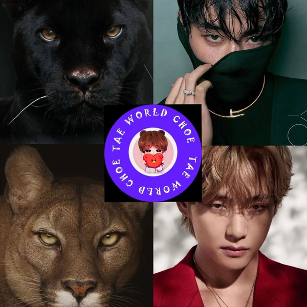 뷔 (방탄소년단) 팬심 가득한 인기 사진