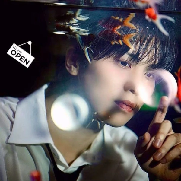 Today's Most Loved Rocky