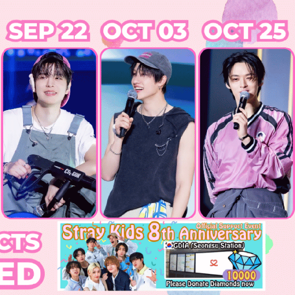 Stray Kids 팬심 가득한 인기 사진