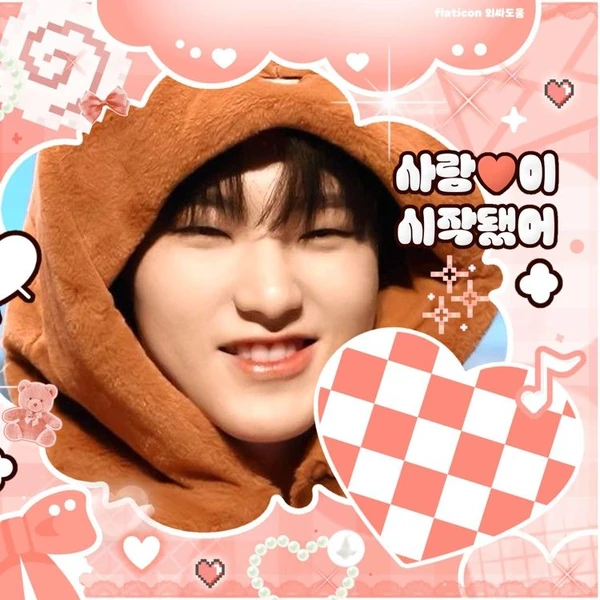 세븐틴 팬심 가득한 인기 사진