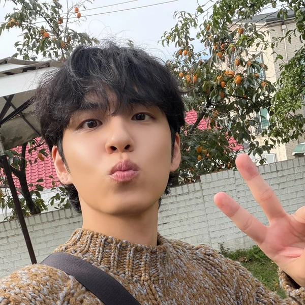 팬들이 뽑은 원필 (DAY6) 최고의 순간