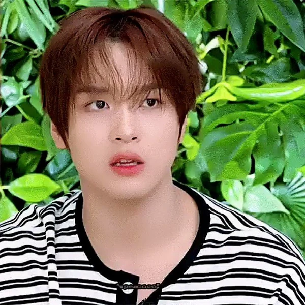 Top Photo Full of Haechan (NCT 127, NCT DREAM) Love