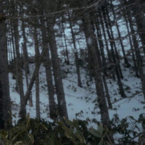 팬들이 뽑은 투모로우바이투게더 최고의 순간