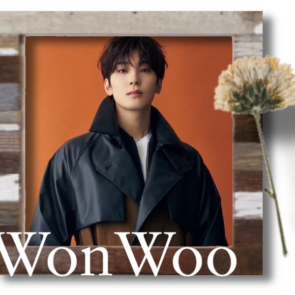 Fans' Pick: Best Moment of Wonwoo (SEVENTEEN)