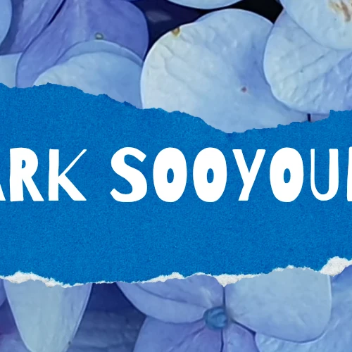 Today's Most Loved Joy (Red Velvet)