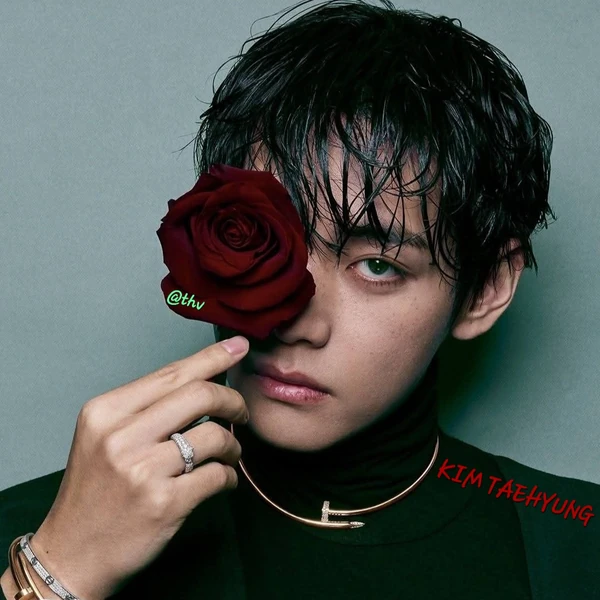 팬들이 뽑은 뷔 (방탄소년단) 최고의 순간