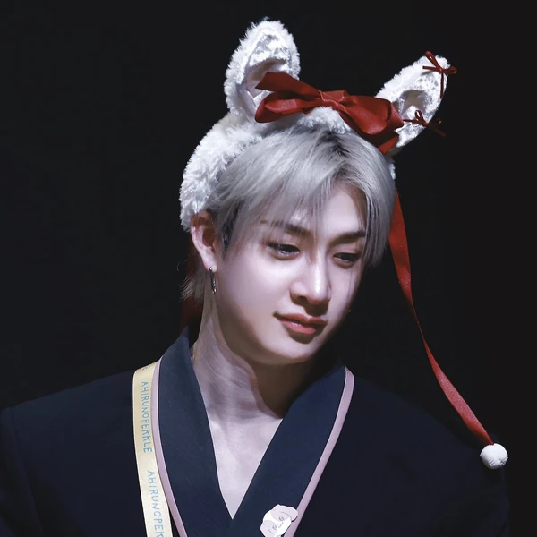 Popular profile picture of Bang Chan (Stray Kids) loved by fans